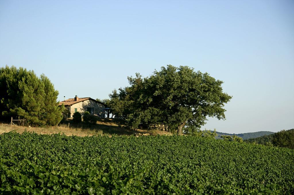 Fattoria Poggio Foco Vila Manciano Quarto foto